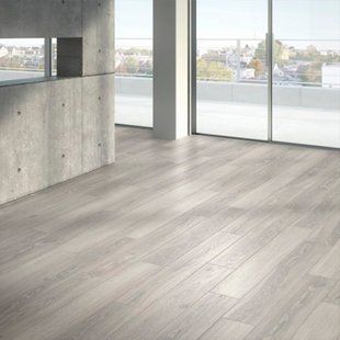 Ламинат Parador Classic 1050 Дуб Студіолайн світло-сірий 1744696