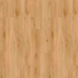 Ламинат Xpert Pro Best 00320 Rotan Oak