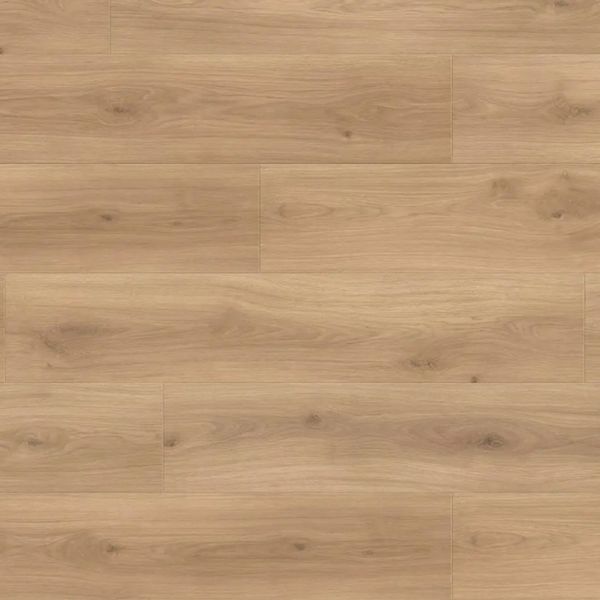 Ламинат Haro Tritty 100 Campus 4V Oak Emilia Puro 538750