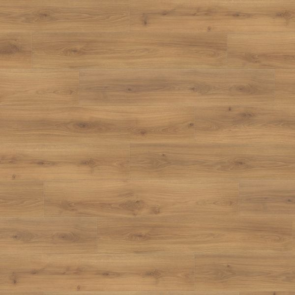 Ламінат Haro Tritty 100 Campus 4V Oak Emilia Honey 541541