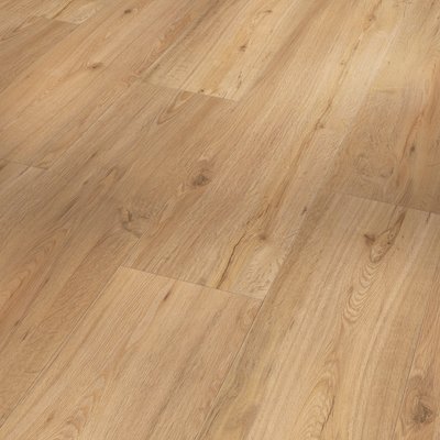 Дизайнерська підлога SPC Basic 5.3 oak natural Brushed