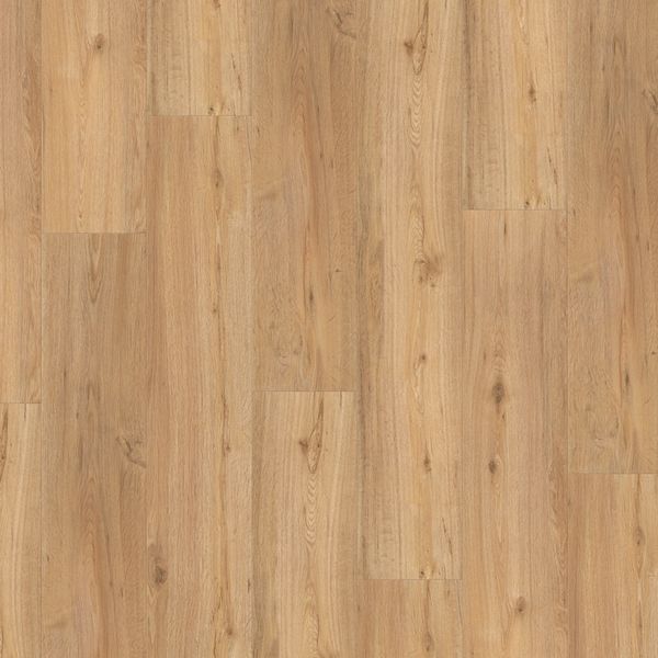 Дизайнерська підлога SPC Basic 5.3 oak natural Brushed