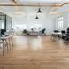 Виниловый пол Wineo 600 DB Wood #WarmPlace DB184W6 - 21480