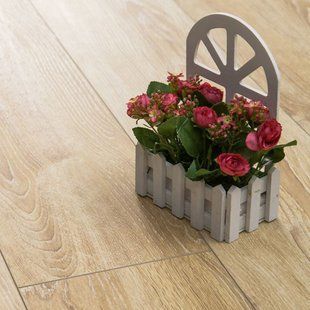 Ламінат Beauty Floor Diamond Дуб Канарський 621